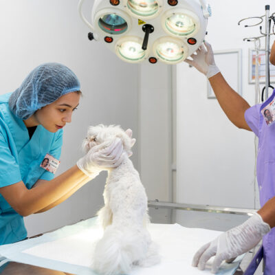 Image for choice number 2