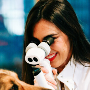 Dr. Lindsay Seyer Examining a Dog's Eyes.